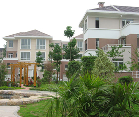 運(yùn)盛美之國