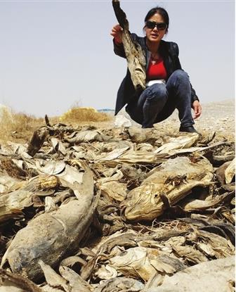 �����r(n��ng)��ïʢţ�������� ��(d��o)�¸����~������e���~