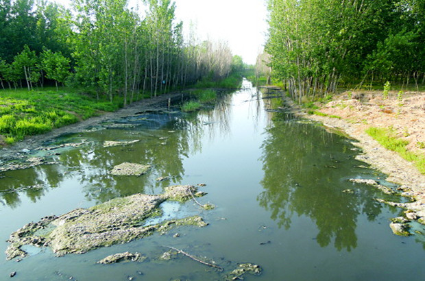 ����ɳ������Ⱦ׷ۙ:�ؾ������ܵ�߀���ź�ˮ