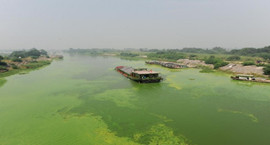 ���ճ����h(hu��n)���������딵(sh��)���ض���Ⱦ