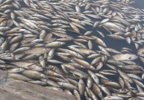 �ӱ���������~(y��)�¼�