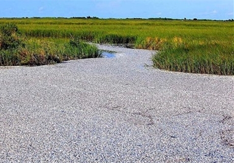 �V�|�����иߎX���S�����¼�