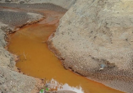 ���������t����Ⱦ