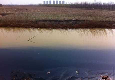 ��򱱳��^(q��)�S�a(ch��n)����Ⱦ